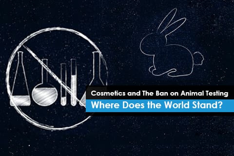 Cosmetics and The Ban on Animal Testing - Where Does the World Stand?